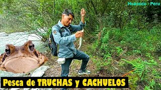 Pesca de Cachuelos y TRUCHAS en los ríos de la sierra Peruana