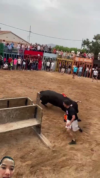 Banteng mengamuk 😱‼️ #youtubeshorts