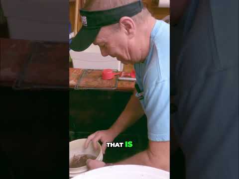 Redfish Bait Secrets: Catching More Fish with Shrimp! #shorts