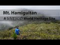 Mt. Hamiguitan's Bonsai Forest (UNESCO World Heritage Site)