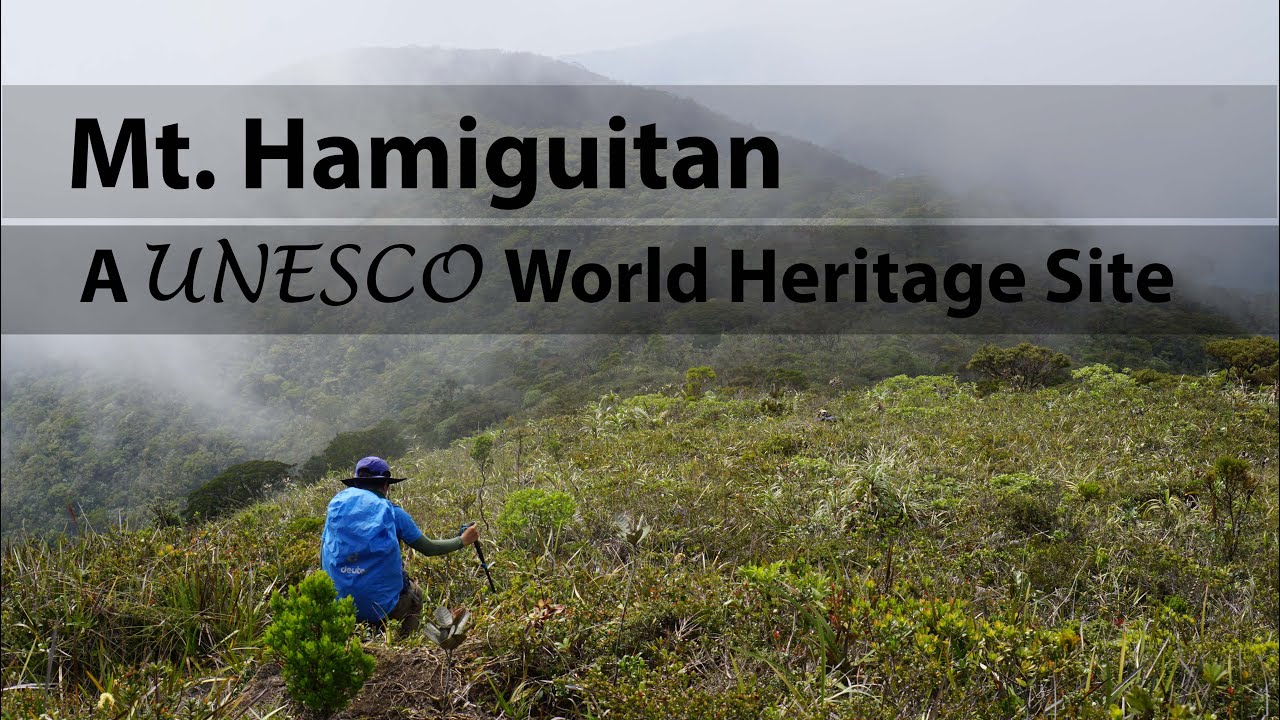 Mt. Hamiguitan's Bonsai Forest (UNESCO World Heritage Site)