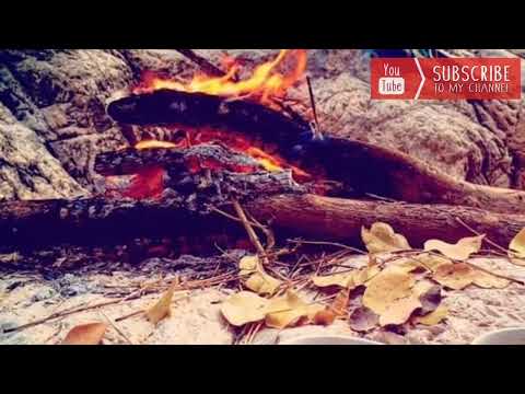 Balach Marri Song Basit Zaib Inqalabi