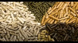 Biomass Co-firing