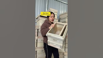Thùng nuôi ong mật nội gỗ gạo đạt tiêu chuẩn chất lượng được ngâm và sử lý mối mọt chống cong vênh🐝