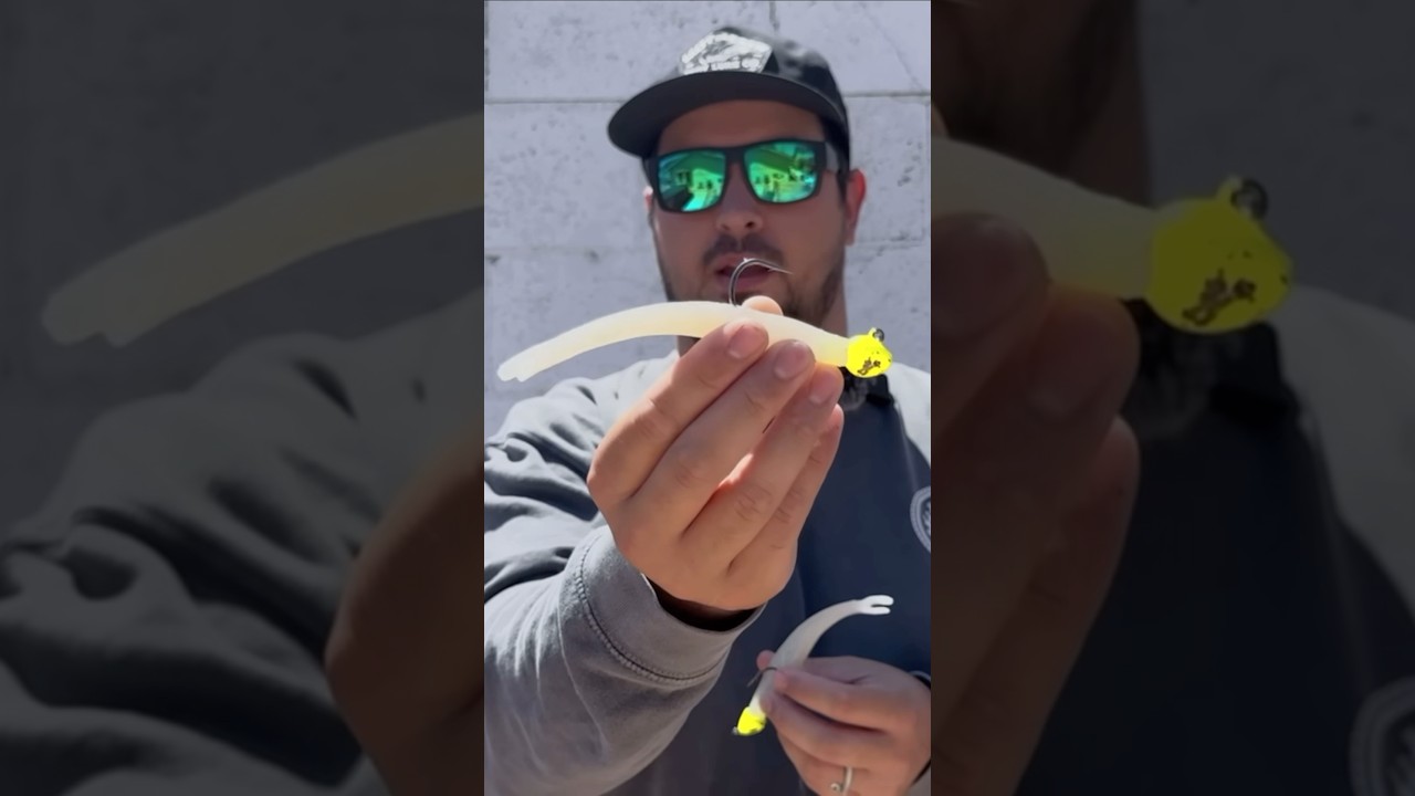 Most Important Lure for WSB & Halibut