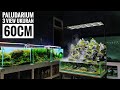 #234 Membuat paludarium 3 sisi dengan Air mengalir