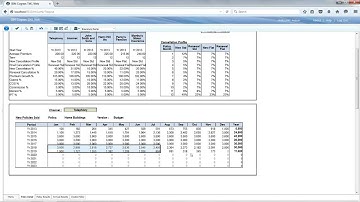 Insurance Premium Planning with IBM Cognos TM1