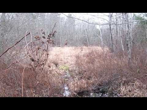 10 Whales Back RD, Sullivan, ME home video tour