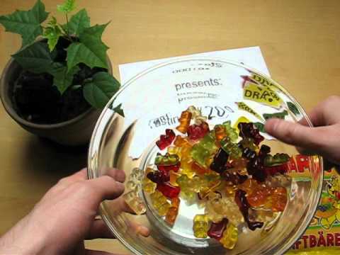 Haribo Saftbären Haribo Saftbären