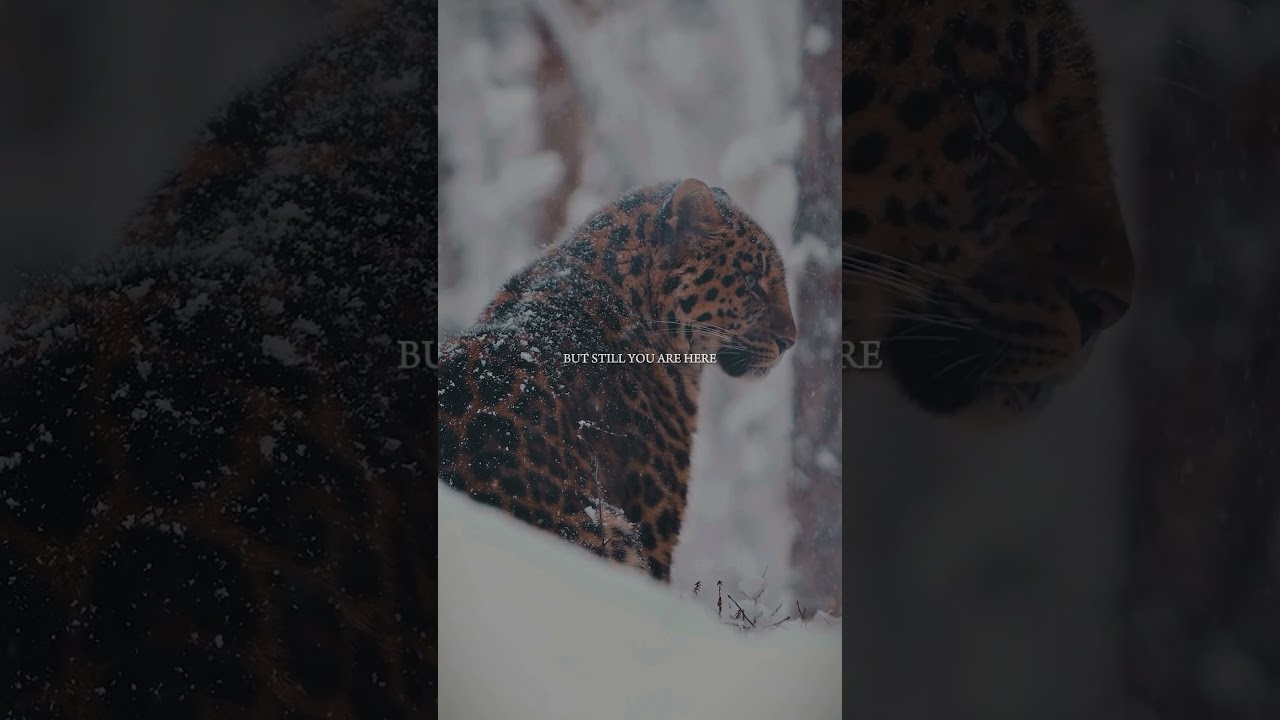 Fortify your mind🧠😶‍🌫️  