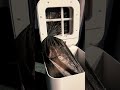 Kitchen Hack! 🗑️ Smart Touchless Trash Can #short #usa
