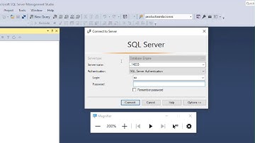 Tutorial SQL Server Docker: Copiar y restaurar base de datos