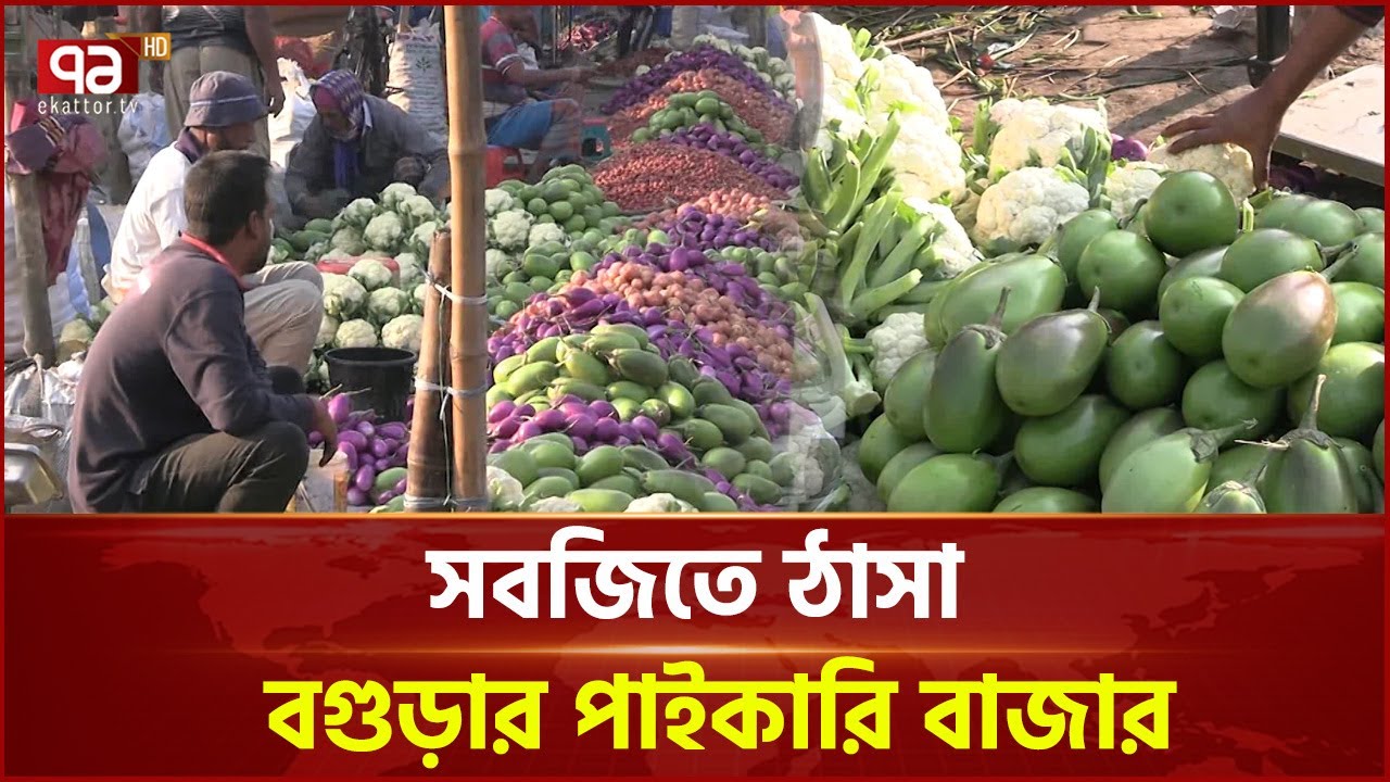 সরবরাহ বাড়ায় বগুড়ায় সবজির দামে ফিরেছে স্বস্তি | Vegetables Price | Ekattor TV