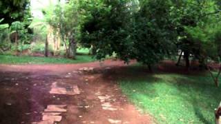 DSCF0780.avi