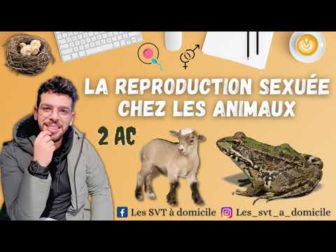 La Reproduction Chez Les Animaux 2AC التوالد عند الحيوانات 