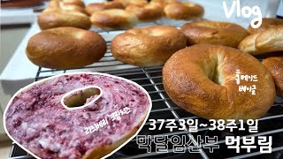 임산부Vlog| 막달임산부| 37주3일~38주1일| 홈베이킹| 베이글만들기| 일상| 띠디맛집가기
