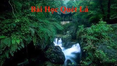 BÀI HỌC QUÉT LÁ | Thiennguyenbt