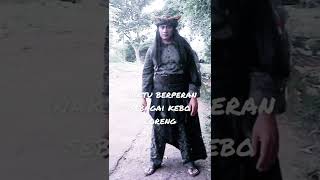 Waktu Berperan Jadi Kebo Loreng, Sinetron Pangeran2