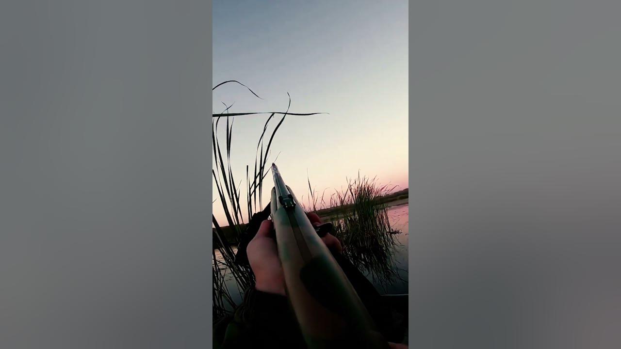 УТЯТЯ ПАДАЮТ С НЕБЕС... #охота #охотанауток #утки - YouTube