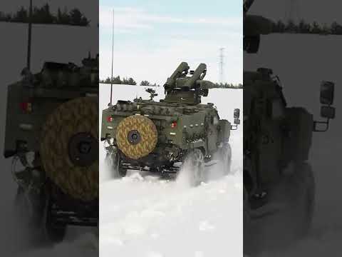 Video: Rus filosu için 