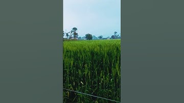 varsad na karne nukshan thai sake chhe #bhadath #sarkar #official #youtube #video