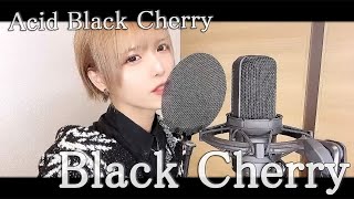 Black Cherry（Piano ver.） - Acid Black Cherry / Covered by Rio