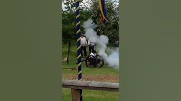 Re-enactment Weapon Display