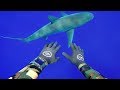 Freediving with Sharks in Middle of Ocean (400FT Deep) | DALLMYD