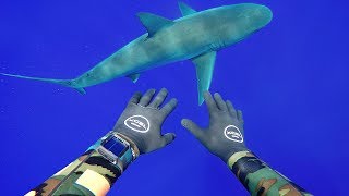 Freediving with Sharks in Middle of Ocean (400FT Deep) | DALLMYD