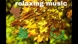 suaran tiupan angin yang menenangkan-relaxing music