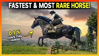 Top 5 Best, Fastest & MOST Rare Horses - RDR 2
