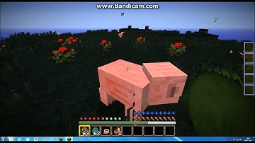 how to download skyrimcraft mod on minecraft