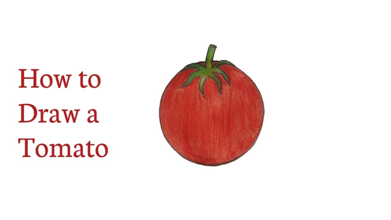 How to draw a tomato step by step॥Easy tomato drawing 