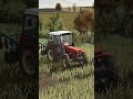 Kultywuje po rzepaku🦾🚜