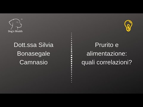 Video: Cos'è Traumeel per cani?