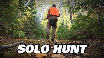 Solo Hunting in Québec Wilderness | 6 Grouse & One Night