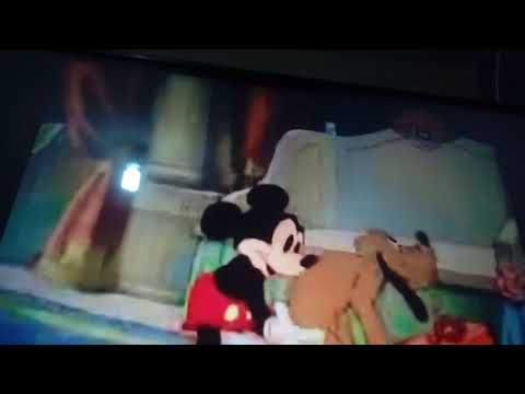 Mickey Mouse Society