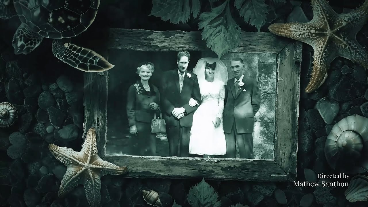 Lost Memory: Final Cut Pro template