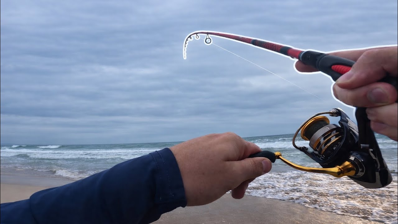 Surf Fishing SoCal for non-stop action fishing Carlsbad CA