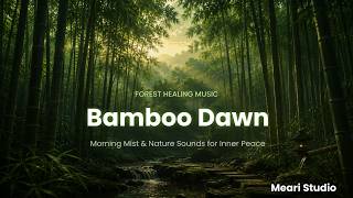 Bamboo Dawn ∙ A Refreshing Morning in the Forest