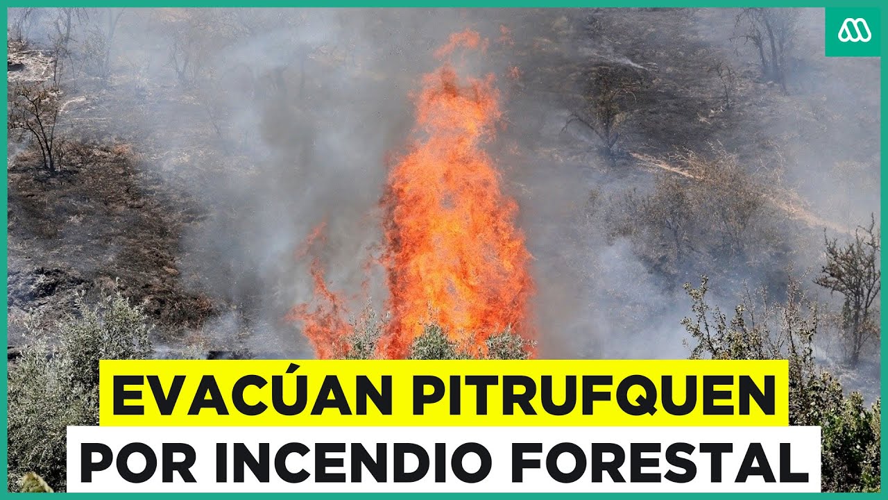 Incendio Forestal: Evacúan sectores de Pitrufquén y declaran Alerta Roja