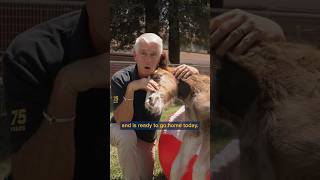A Minute with Mark: Foaling Season