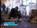 В регионе приступили к стрижке овец. Уникальное волокно разойдется по всей России