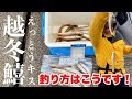 【越冬キス】釣って大型！食べて絶品！冬のキスを釣るために必要なこと！