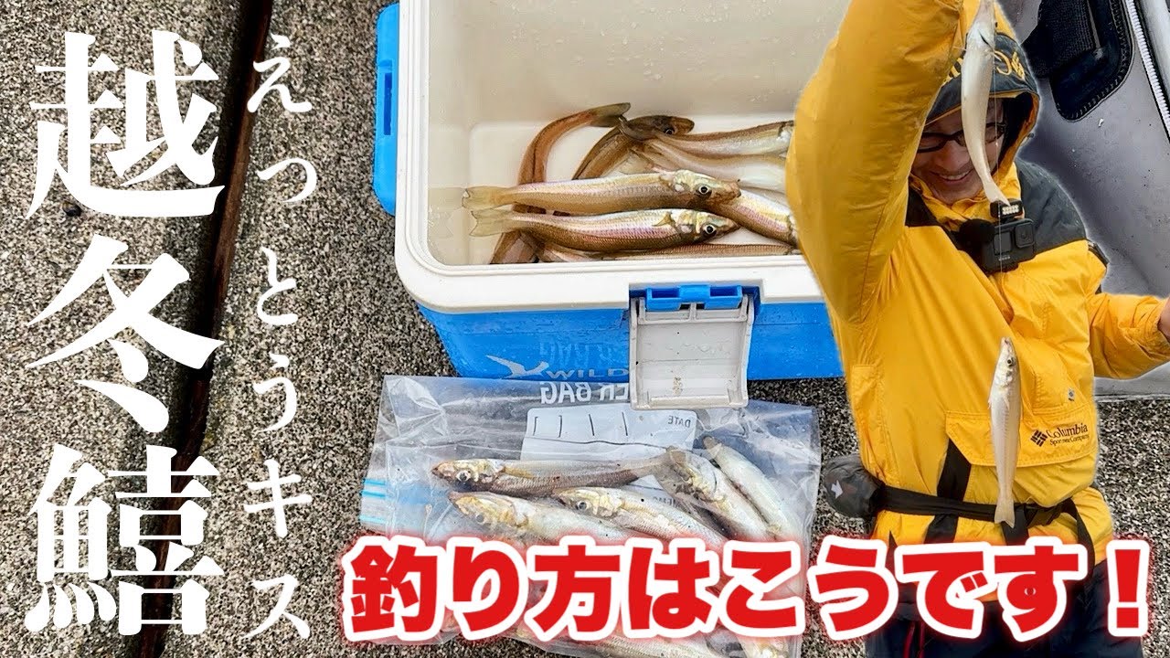 【越冬キス】釣って大型！食べて絶品！冬のキスを釣るために必要なこと！