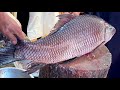 Amazing cutting skills  big carp fish cutting skills live in fish market