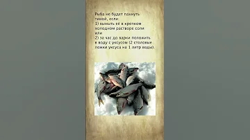 Как убрать запах тины?