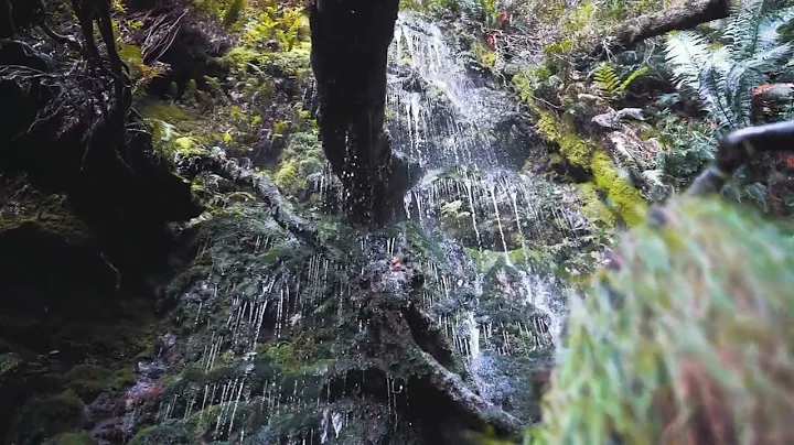 5025941 hd 1920 1080 25fps