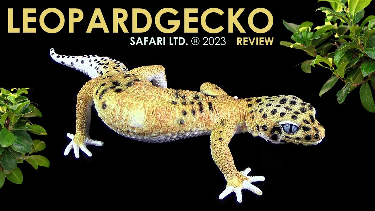 German Gecko Safari Ltd. ® Leopardgecko / Leopard Gecko - Review (Deutsch / German ...