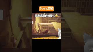 ＜Nancy南熹＞浪貓Stray | 認真的掃描機器人 #twvtuber #stray #straycat